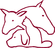 Logo Tierarztpraxis Bucher AG